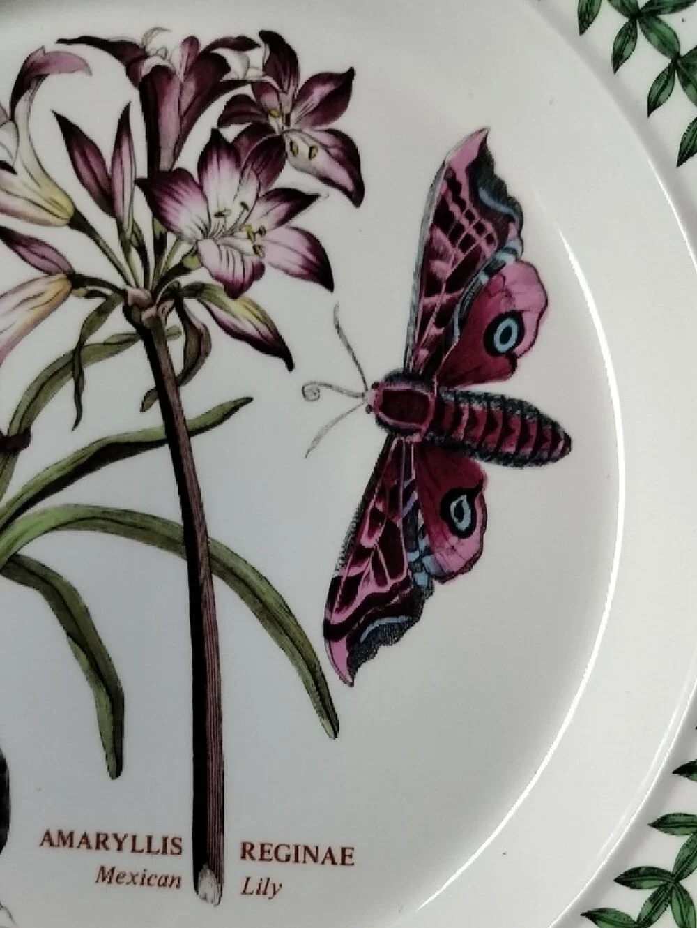 Portmeirion New Botanical Amaryllis & Butterfly Ceramic Dinner Plate
